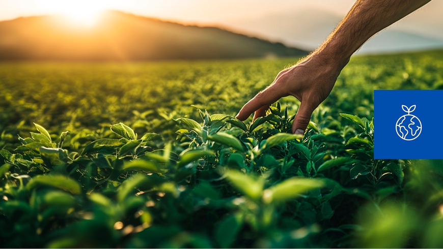 Durable et responsable