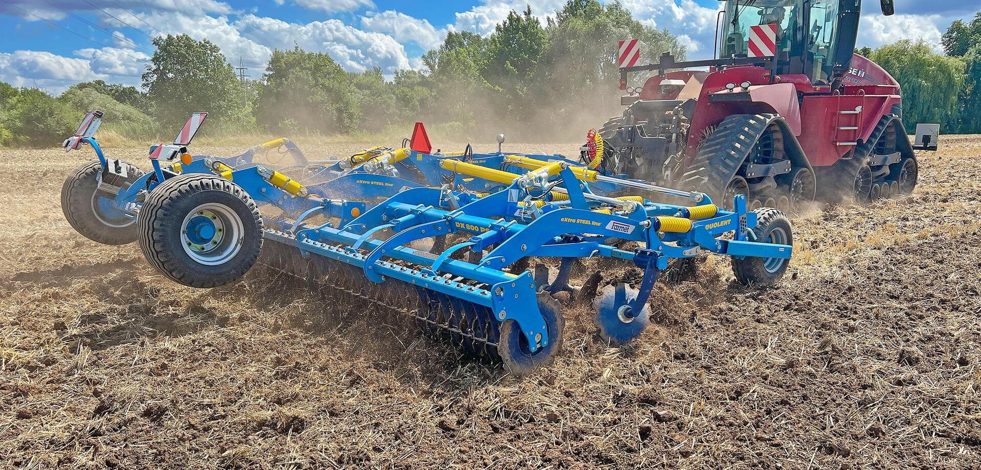 Dlátový kyprič Duolent