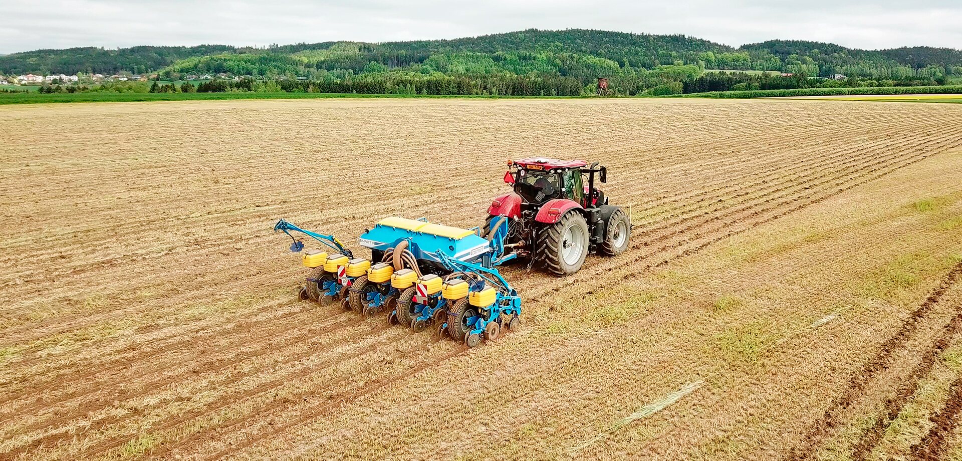 Täppiskülvik Impact