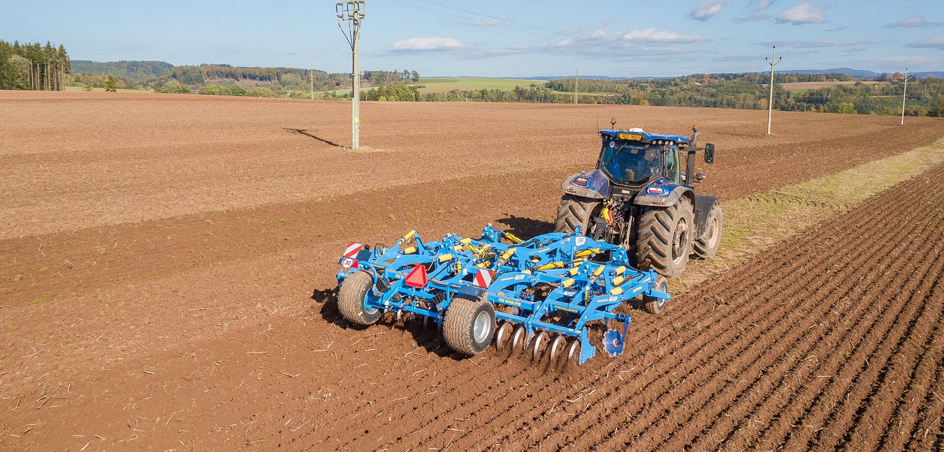 Dlátový kyprič Triolent