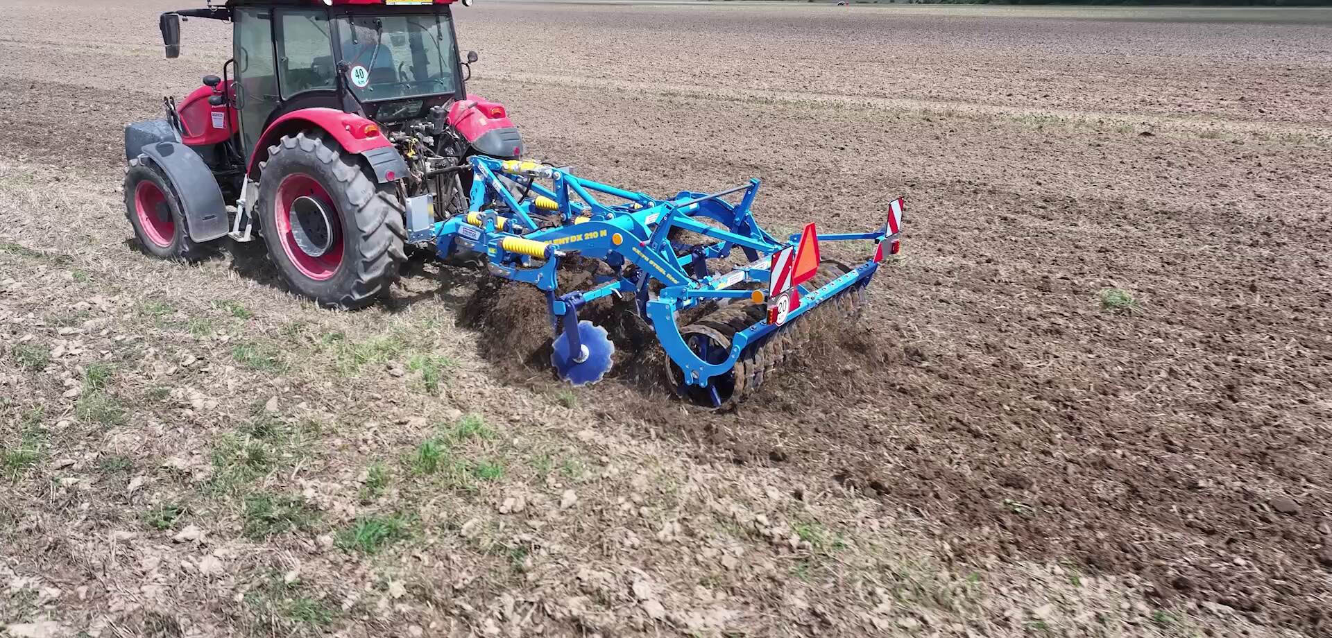 Dlátový kyprič Duolent