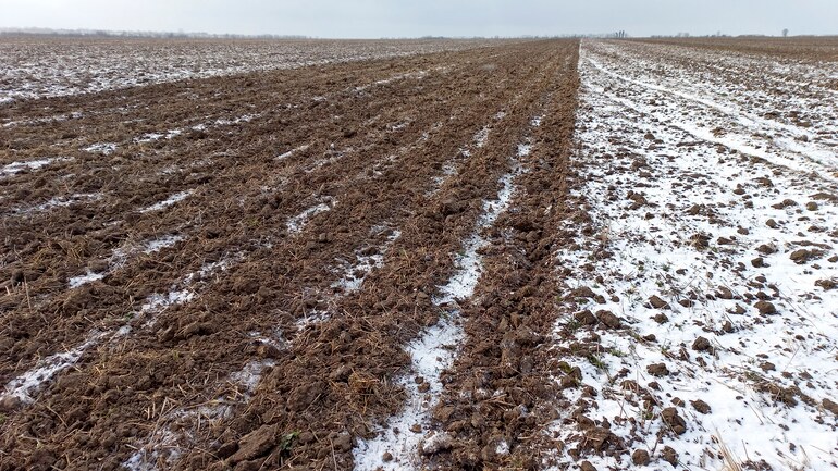 Falcon HW a Strip Till 8 musí pracovat i v zimě