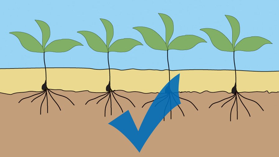 Kompaktomat pro vyšší výnosy a zisky