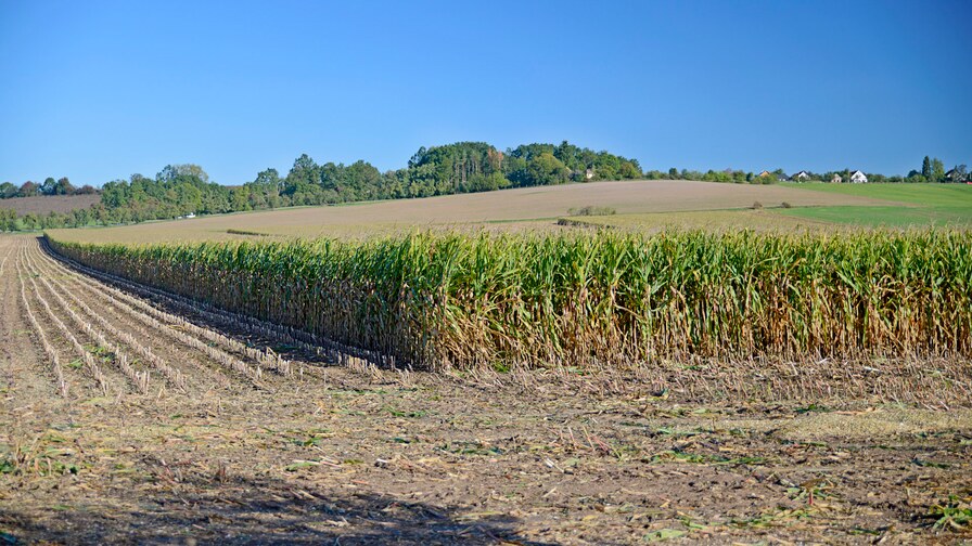 Kompaktomat pro vyšší výnosy a zisky