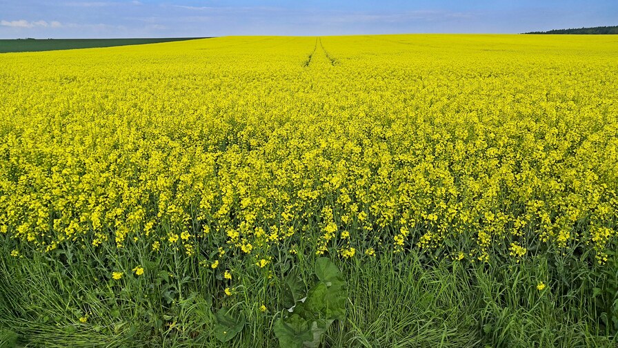 Kompaktomat pro vyšší výnosy a zisky