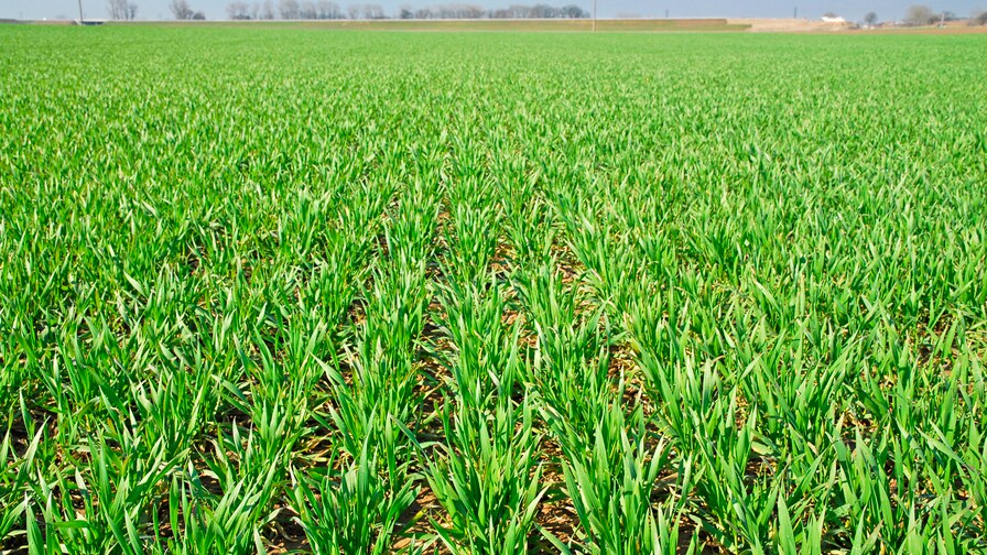 Kompaktomat pro vyšší výnosy a zisky