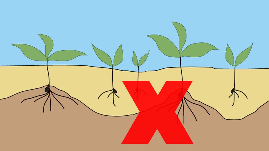 Kompaktomat pro vyšší výnosy a zisky