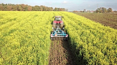 Tárcsás kultivátor Triton Heavy