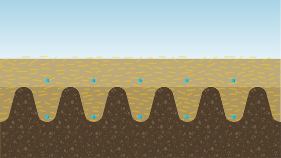 Tárcsás kultivátor Triton Heavy