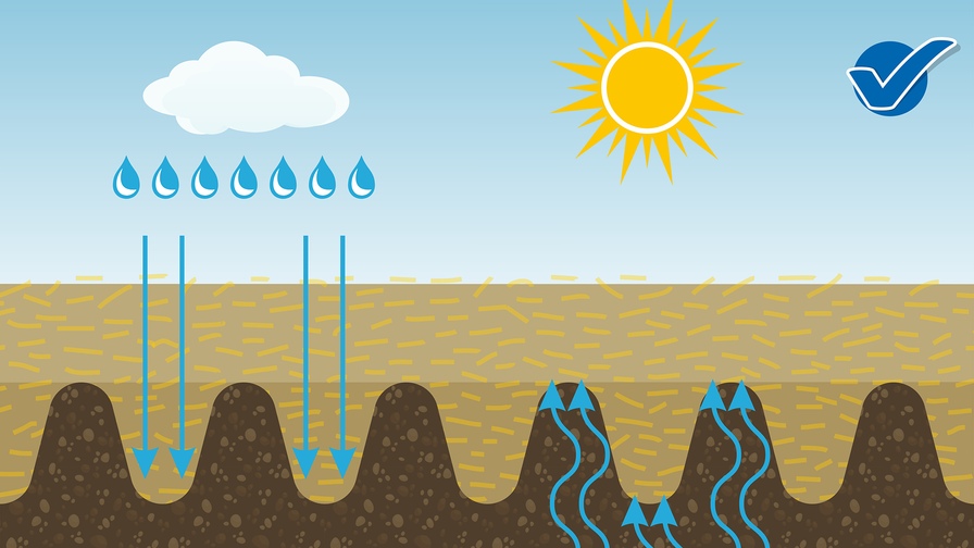 Tárcsás kultivátor Triton Heavy