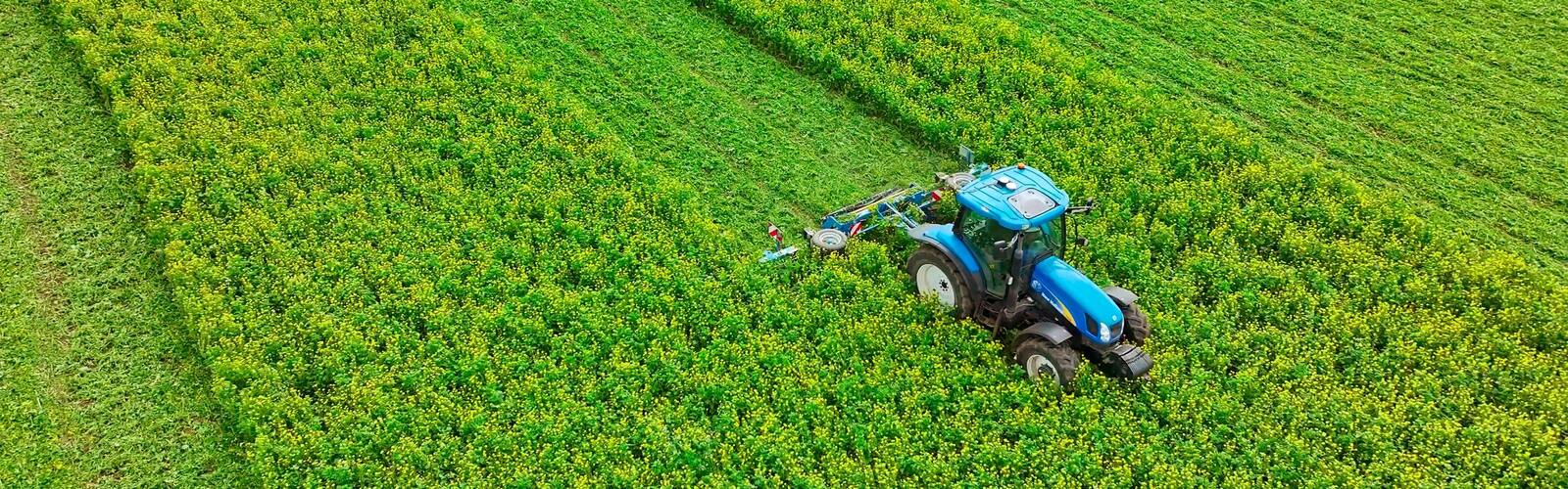 SingleCut vágóhengerek