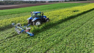 Messerwalzen SingleCut