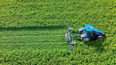 SingleCut muljur-rullid