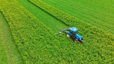 SingleCut lõikerullid