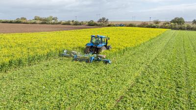 SingleCut muljur-rullid