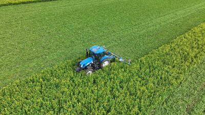 Messerwalzen SingleCut