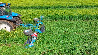 SingleCut muljur-rullid