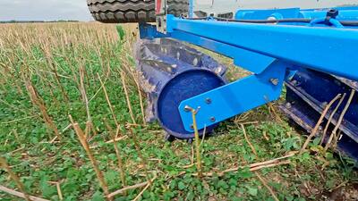 SingleCut lõikerullid