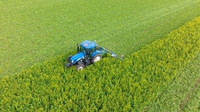 SingleCut muljur-rullid