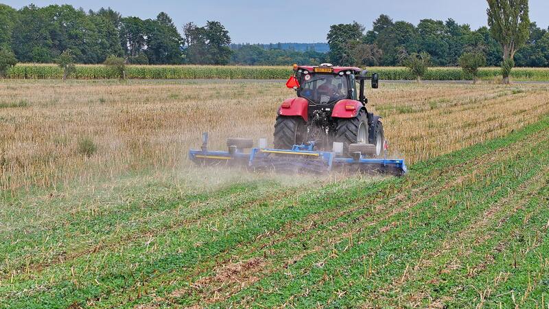 Messerwalzen SingleCut