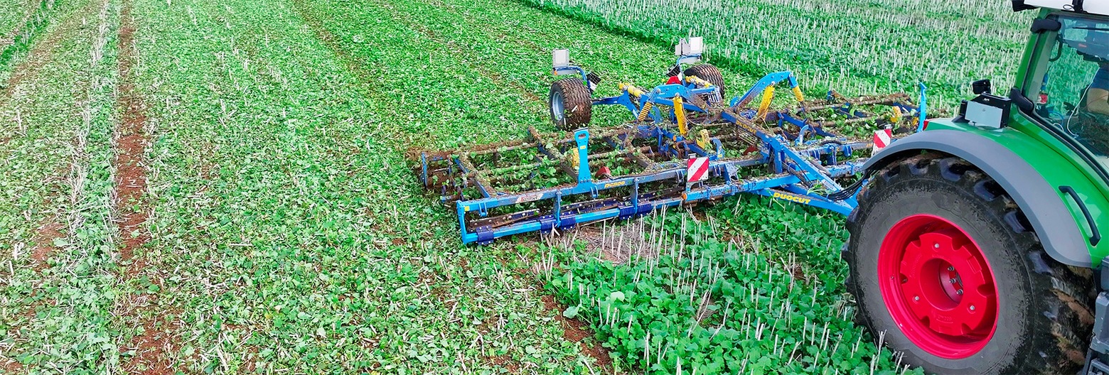 DuoCut cutting rollers