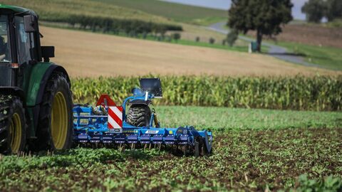 Сотрудничество