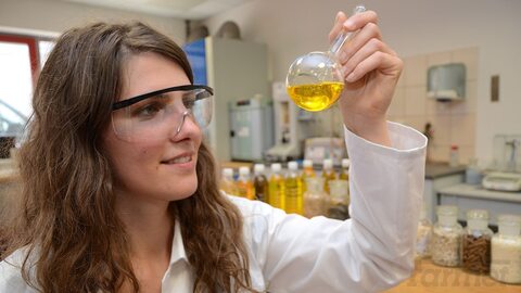 Сотрудничество