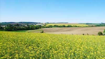 Высокая производительность, точная укладка семян и равномерные всходы - это FALCON!
