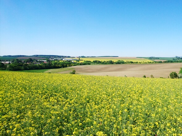 Hohe Leistung, genaue Ablage des Saatguts und ausgeglichene Bestände, das ist FALCON!