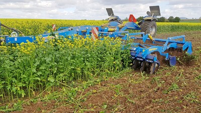 Quality Mustard Incorporation Using Softer 6 PS