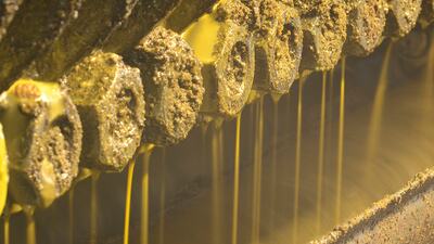 Oils and Fats 2015 Mnichov