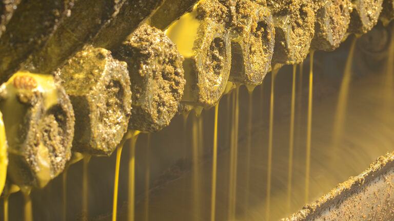 Oils and Fats 2015 Mnichov Oils and Fats 2015 Mnichov