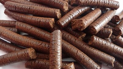 Pressen von Traubenkernen