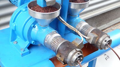 Pressen von Traubenkernen