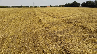 Falcon DEMO TOUR 2016 Continues!