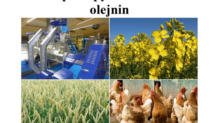 Efektivní postupy extruze obilovin a olejnin - Metodika před certifikací