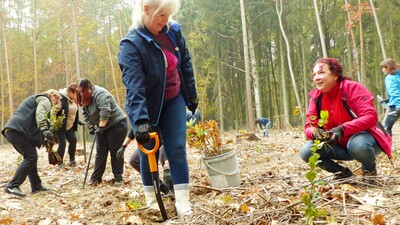 Sázení stromů na počest výročí založení republiky