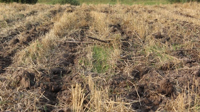 Глибокорозпушувач Кrtek