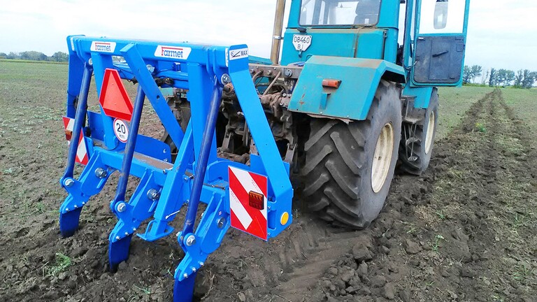 Кртек в Україні