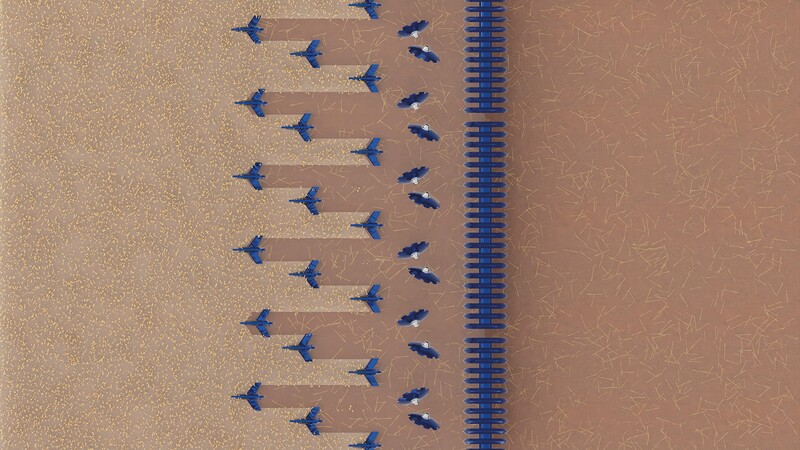 Tine cultivator Triolent