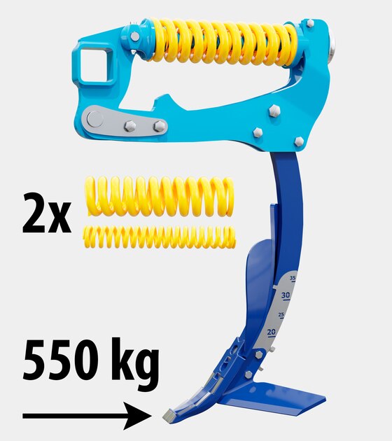 Dlátový kyprič Duolent