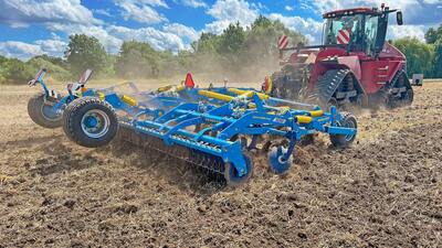 Dlátový kyprič Duolent