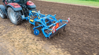 Dlátový kyprič Duolent