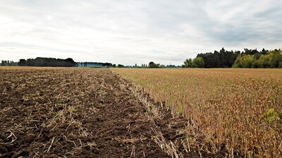 Tine cultivator Fantom NS