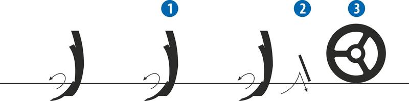 Dlátový kyprič Fantom