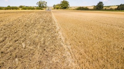 Scheibenegge Diskomat