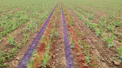 Sembradora Combinada Modular Falcon PRO