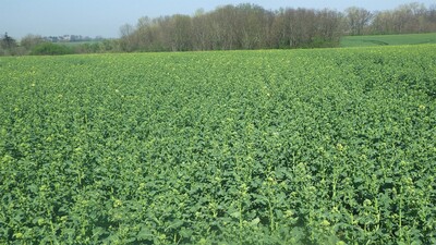 Sembradora Combinada Modular Falcon PRO