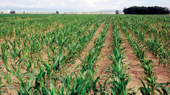 Sembradora Combinada Modular Falcon PRO