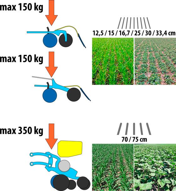 Moodulkülvik Falcon SW